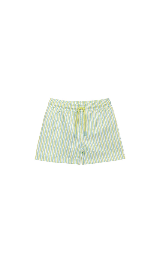 Lime Oasis Woven Boys Swim Shorts