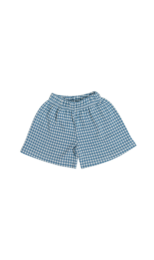Blue Gingham Shorts